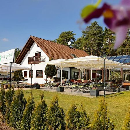 Lokal Genial Pension&Restaurant Beelitz Bagian luar foto